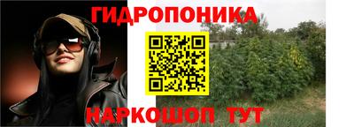 эйфоретик Туймазы
