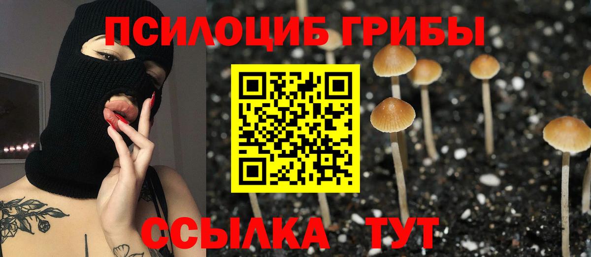 Псилоцибиновые грибы мухоморы Москва