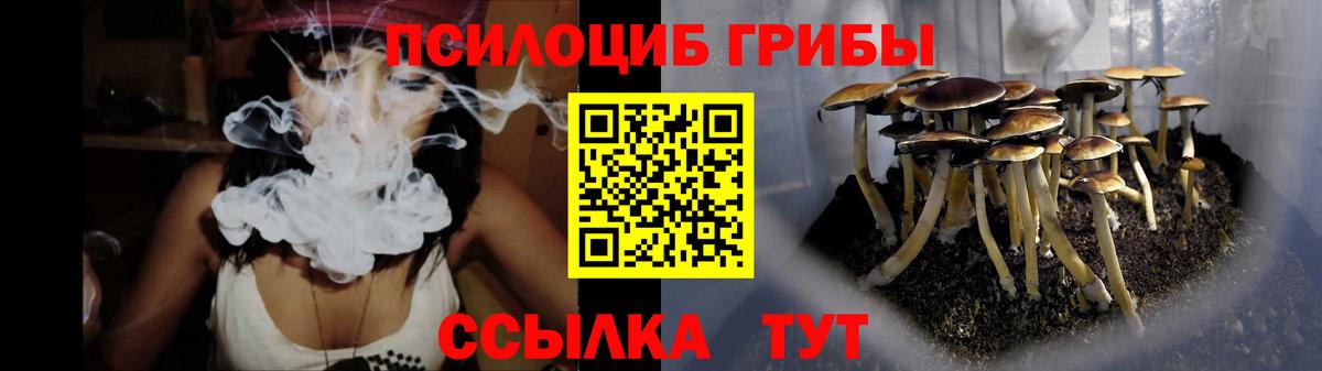 Москва  Псилоцибиновые грибы прущие грибы  Вход с VPN 